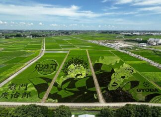 日記2025年7月26日