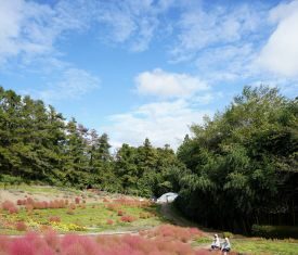 日記2025年10月18日