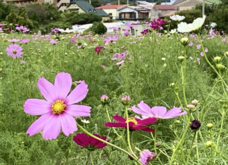 日記2025年10月21日