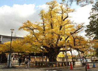 日記2025年11月23日