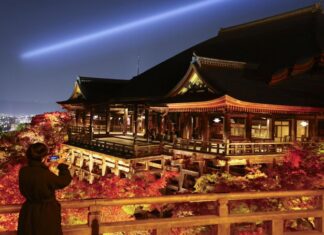 日記2025年11月24日