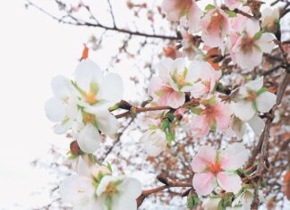 日記2025年12月12日