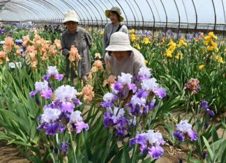 日記2026年5月15日