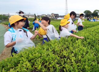 日記2026年5月11日