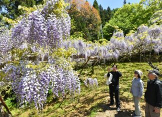 日記2026年5月12日