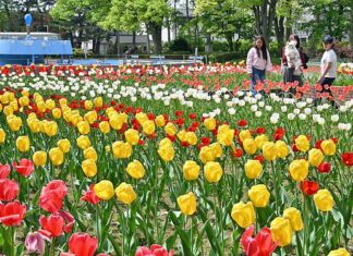 日記2026年5月10日