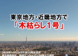 いきなり冬