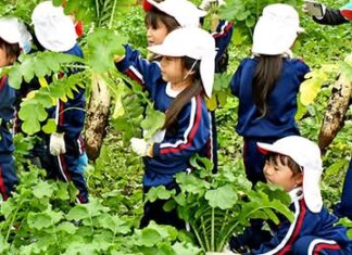 日記2026年10月29日