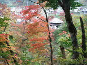 黒石市・中野もみじ山