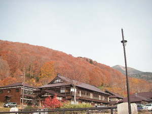 紅葉の酸ヶ湯温泉