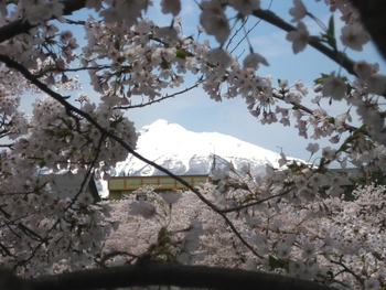 ４月２８日、早朝